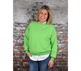 SWEATER groen