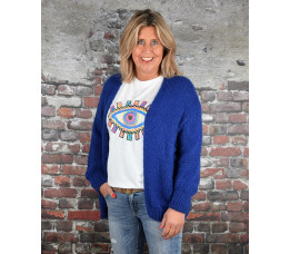 VEST PUCK blauw